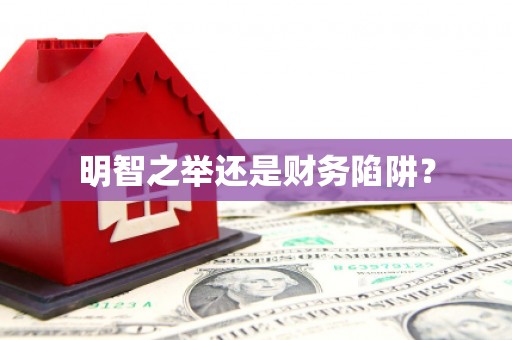 民权明智之举还是财务陷阱？