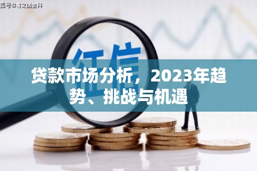 民权贷款市场分析，2023年趋势、挑战与机遇