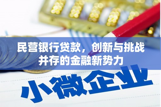 民权民营银行贷款，创新与挑战并存的金融新势力