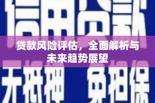 民权贷款风险评估，全面解析与未来趋势展望