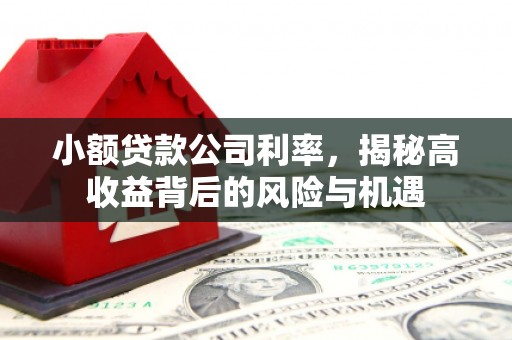 民权小额贷款公司利率，揭秘高收益背后的风险与机遇