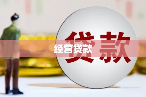 民权经营贷款