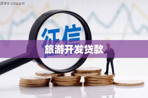 民权旅游开发贷款