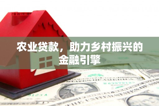 民权农业贷款，助力乡村振兴的金融引擎