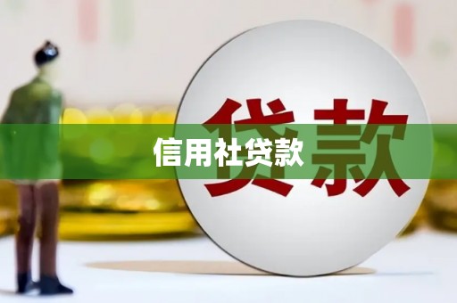 民权信用社贷款