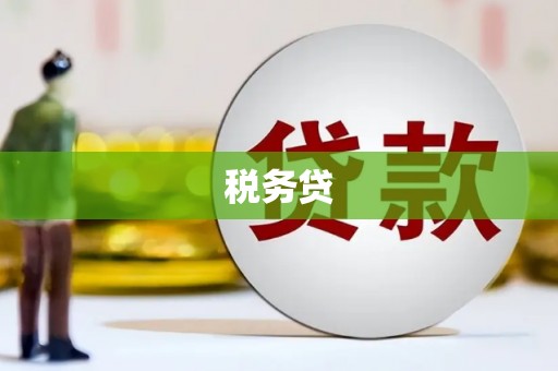 民权税务贷