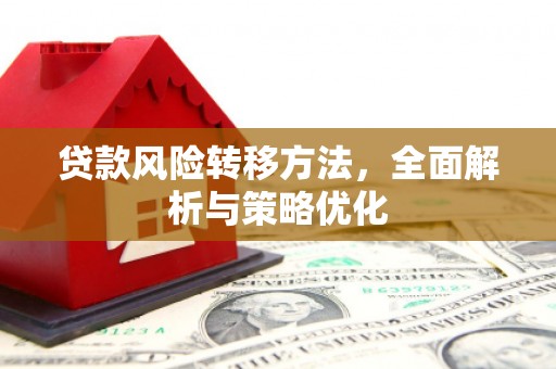 民权贷款风险转移方法，全面解析与策略优化