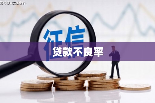民权贷款不良率