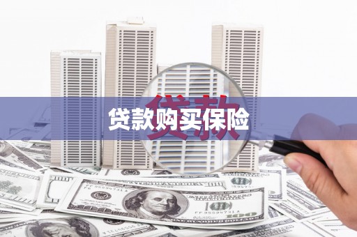 民权贷款购买保险