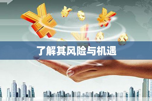民权了解其风险与机遇