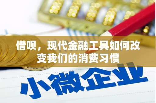 民权借呗，现代金融工具如何改变我们的消费习惯