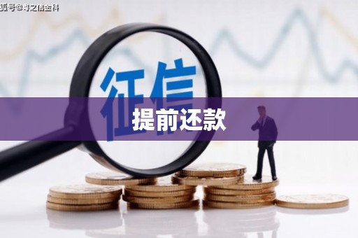 民权提前还款