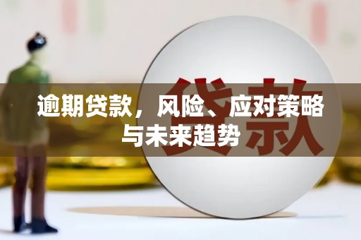 民权逾期贷款，风险、应对策略与未来趋势