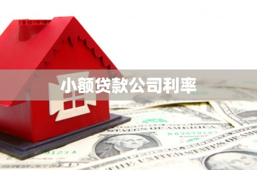民权小额贷款公司利率
