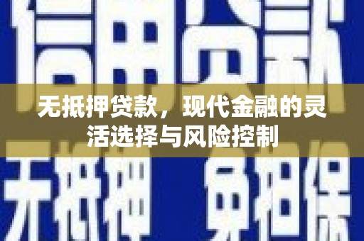 民权无抵押贷款，现代金融的灵活选择与风险控制