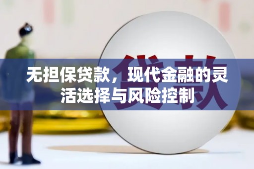 民权无担保贷款，现代金融的灵活选择与风险控制