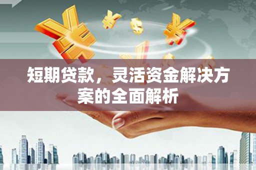 民权短期贷款，灵活资金解决方案的全面解析