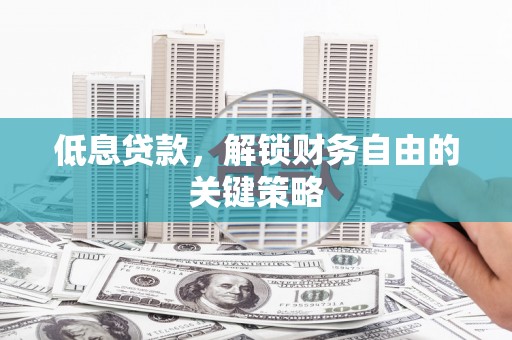 民权低息贷款，解锁财务自由的关键策略
