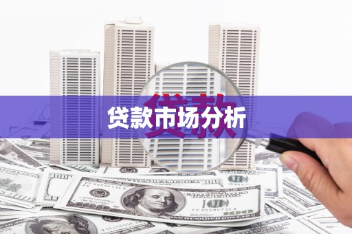 民权贷款市场分析