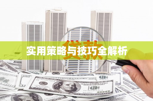 民权实用策略与技巧全解析