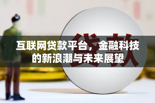 民权互联网贷款平台，金融科技的新浪潮与未来展望