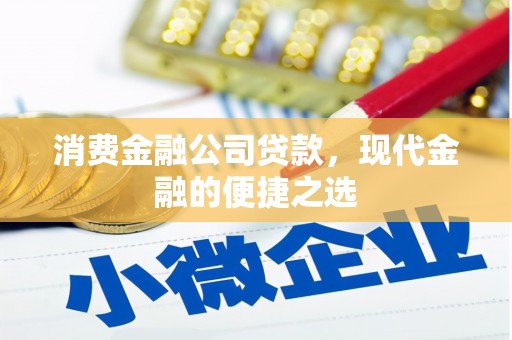 民权消费金融公司贷款，现代金融的便捷之选