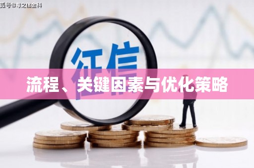 民权流程、关键因素与优化策略