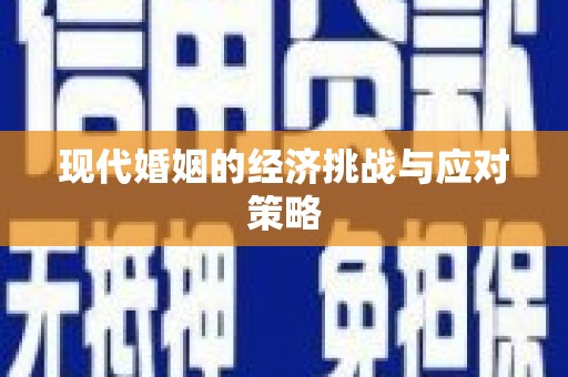 民权现代婚姻的经济挑战与应对策略