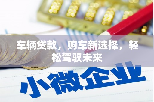 民权车辆贷款，购车新选择，轻松驾驭未来
