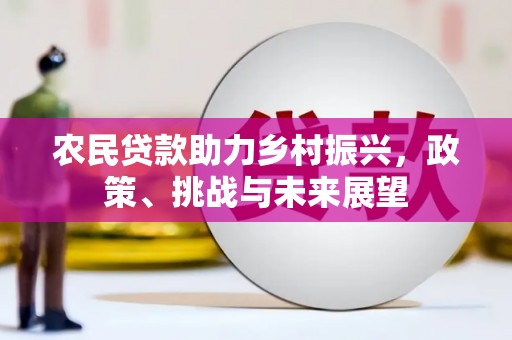 民权农民贷款助力乡村振兴，政策、挑战与未来展望