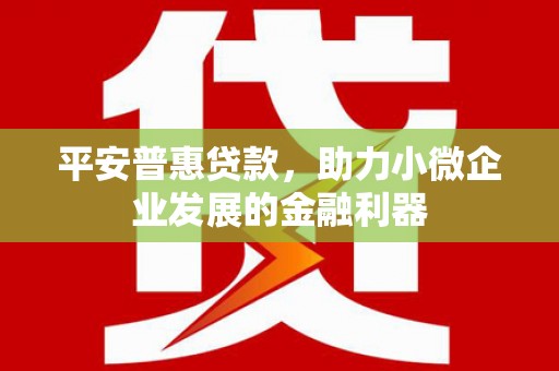 民权平安普惠贷款，助力小微企业发展的金融利器