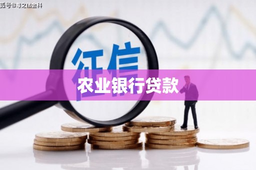 民权农业银行贷款