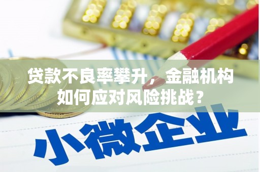 民权贷款不良率攀升，金融机构如何应对风险挑战？