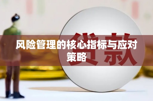 民权风险管理的核心指标与应对策略
