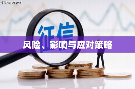 民权风险、影响与应对策略