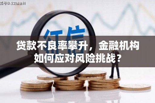 民权贷款不良率攀升，金融机构如何应对风险挑战？