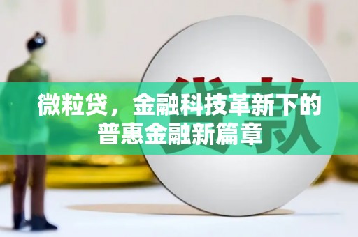 民权微粒贷，金融科技革新下的普惠金融新篇章