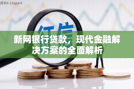 民权新网银行贷款，现代金融解决方案的全面解析