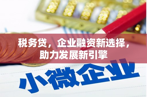 民权税务贷，企业融资新选择，助力发展新引擎