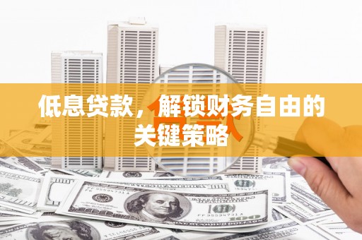 民权低息贷款，解锁财务自由的关键策略