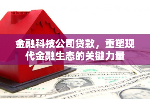 民权金融科技公司贷款，重塑现代金融生态的关键力量