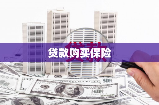 民权贷款购买保险