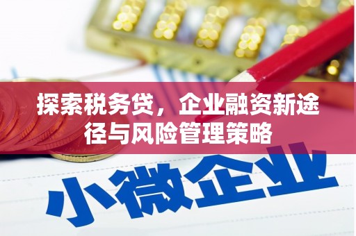 民权探索税务贷，企业融资新途径与风险管理策略