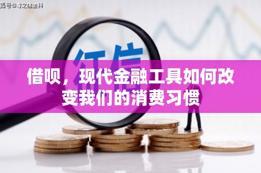 民权借呗，现代金融工具如何改变我们的消费习惯