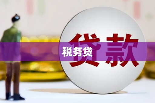民权税务贷