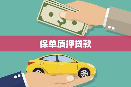 民权保单质押贷款