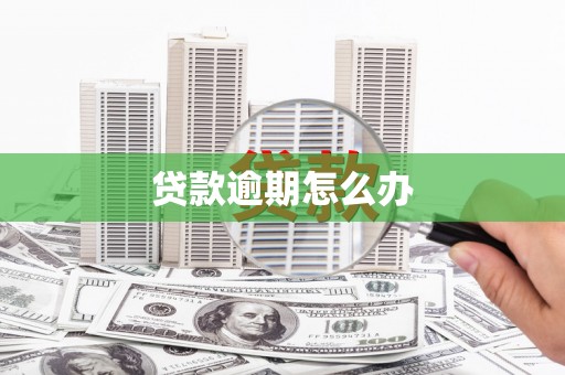 民权贷款逾期怎么办