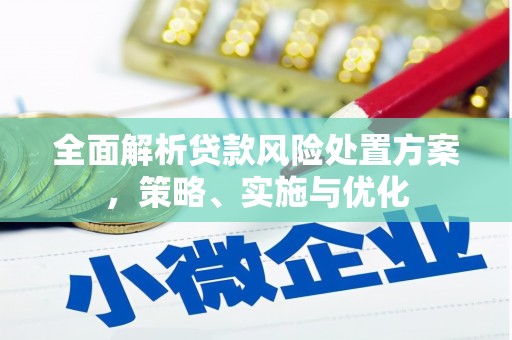 民权全面解析贷款风险处置方案，策略、实施与优化