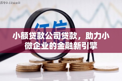 民权小额贷款公司贷款，助力小微企业的金融新引擎