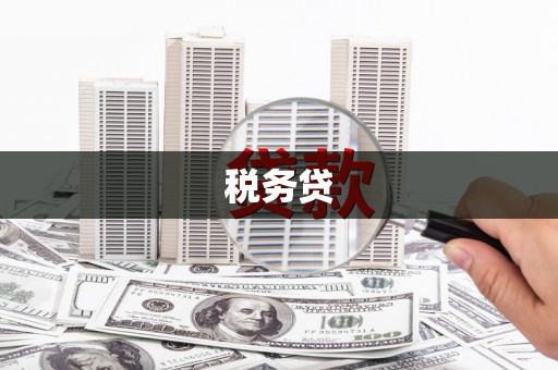 民权税务贷